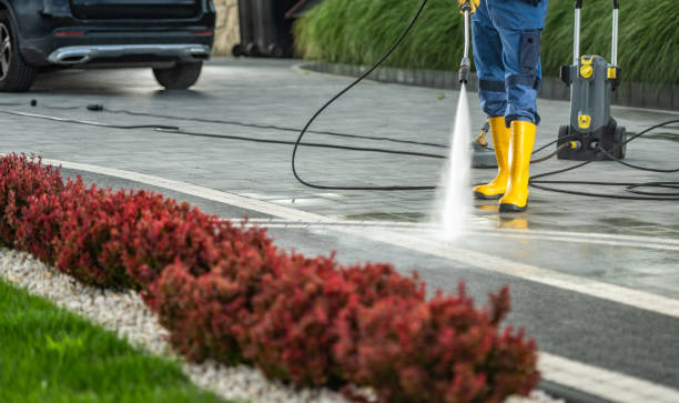 Best Roof Power Washing Services  in Edgewood, IN