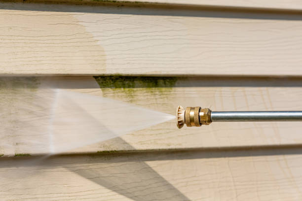 Best Roof Power Washing Services  in Edgewood, IN