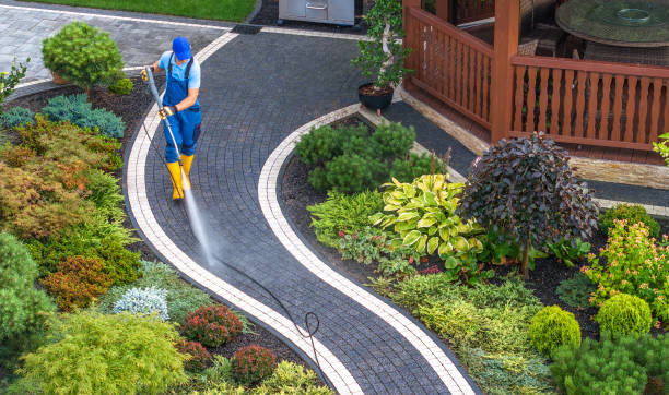 Best Affordable Power Washing  in Edgewood, IN